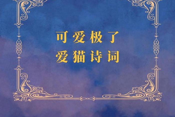 爱猫生活的暗号、爱猫生活的暗号是什么