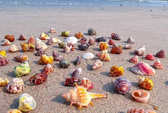 北海生活居住的利弊(北海的居住环境怎么样) 北海生活居住的利弊(北海的居住环境怎么样)