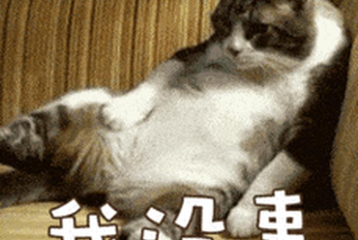 生活表情包动态图(生活我表情包原图) 生活表情包动态图(生活我表情包原图)