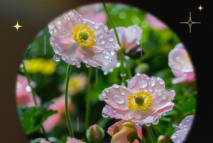 阳光生活的说说，关于生活阳光的经典语录