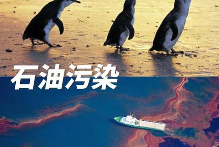 生活污染有哪些 生活污染的主要原因 生活污染有哪些 生活污染的主要原因