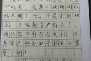 二年级生活日记每日一篇（小学二年级的生活日记50字）