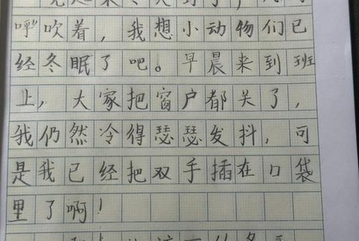 二年级生活日记每日一篇(小学二年级的生活日记50字) 二年级生活日记每日一篇(小学二年级的生活日记50字)