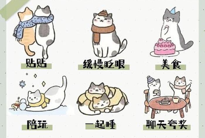 爱猫生活小组怎么上车；爱猫生活小组暗号在哪里