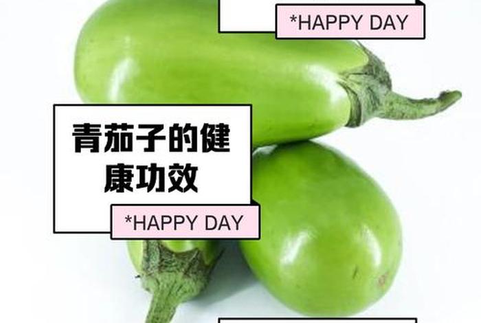 茄子生活环境及适应特征；茄子的生活环境及特点