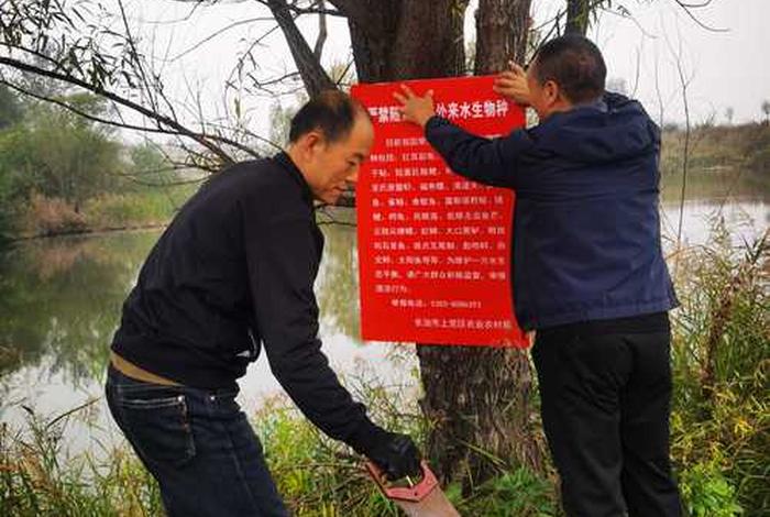 放生活动宣传语 - 放生活动内容