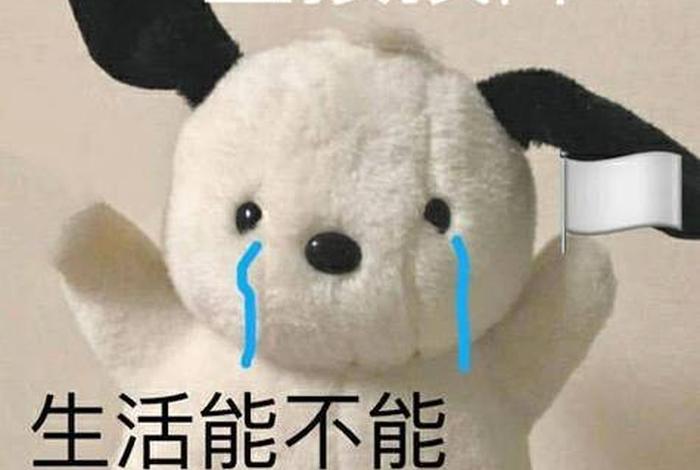 生活我表情包图片、生活我表情包图片大全 生活我表情包图片、生活我表情包图片大全