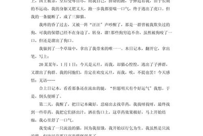 流浪猫的生活作文；流浪猫的生活作文怎么写