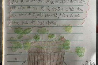 一个星期写一篇周记，一年级日记50字