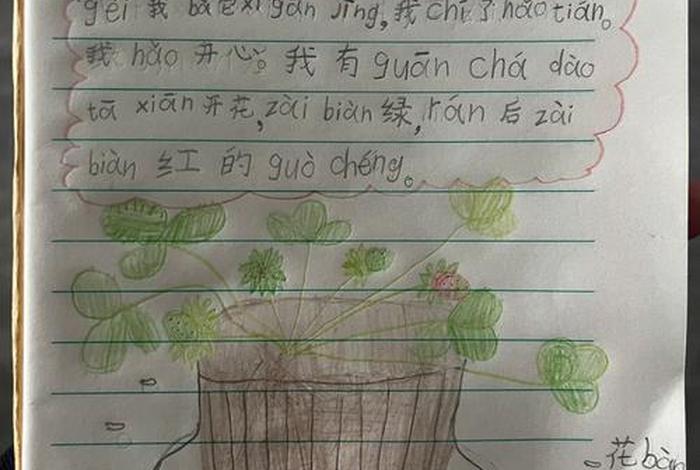 一个星期写一篇周记,一年级日记50字 一个星期写一篇周记,一年级日记50字