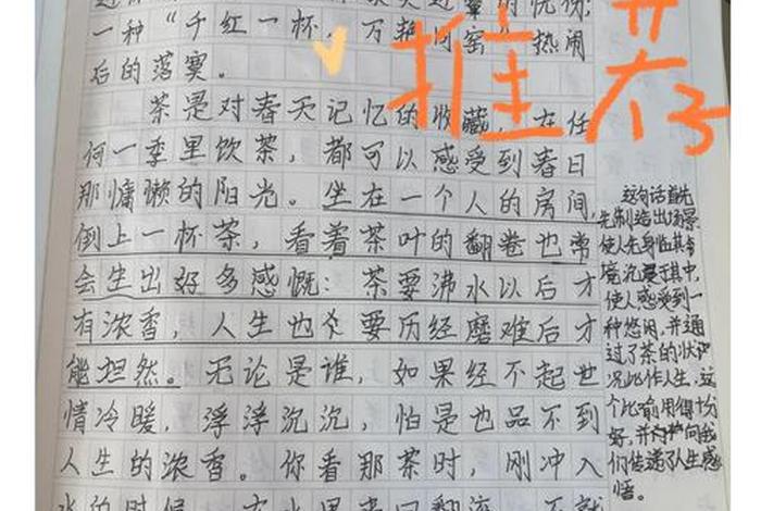 校园生活的句子加批注（校园生活作文带批注）