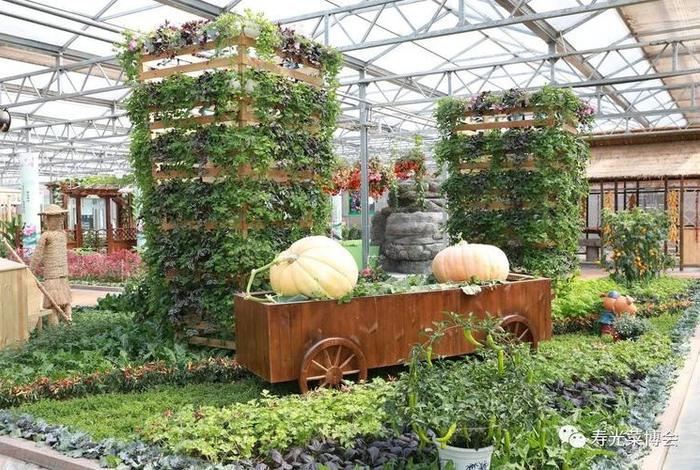 寿光生活信息平台 寿光在线网 寿光生活信息平台 寿光在线网