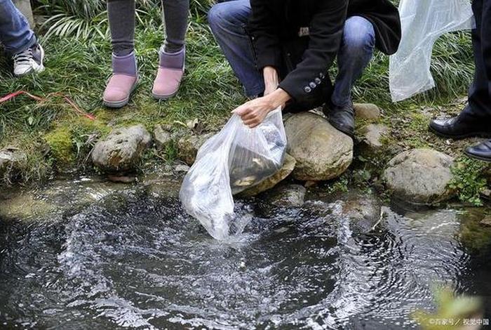 放生活动是什么 - 放生是什么行为 放生活动是什么 - 放生是什么行为