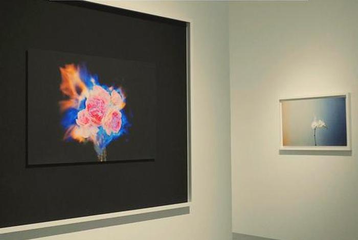 极简主义生活方式的特征是什么、极简主义生活方式的特征是什么意思 极简主义生活方式的特征是什么、极简主义生活方式的特征是什么意思