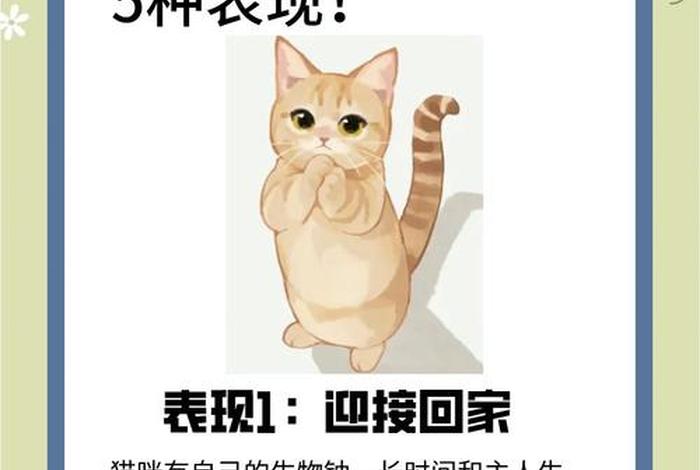 爱猫生活开车答案 - 百度爱猫生活吧 爱猫生活开车答案 - 百度爱猫生活吧