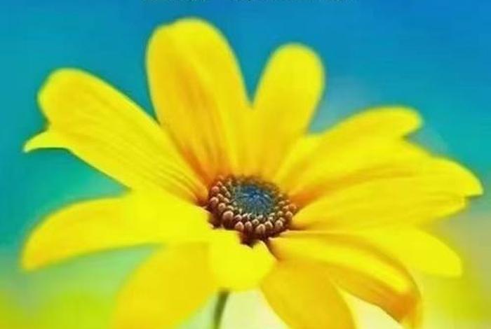 生活正能量的句子经典 生活正能量句子说说心情短语 生活正能量的句子经典 生活正能量句子说说心情短语