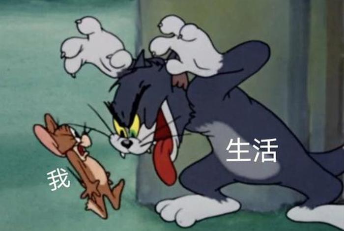 生活和我的表情包、生活跟我的表情包 生活和我的表情包、生活跟我的表情包