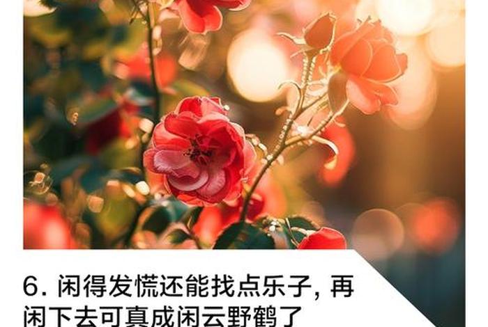 调剂生活的句子（调剂生活的乐趣）