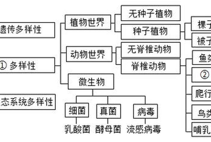 生物与生活的关系图（生物和生活的联系）