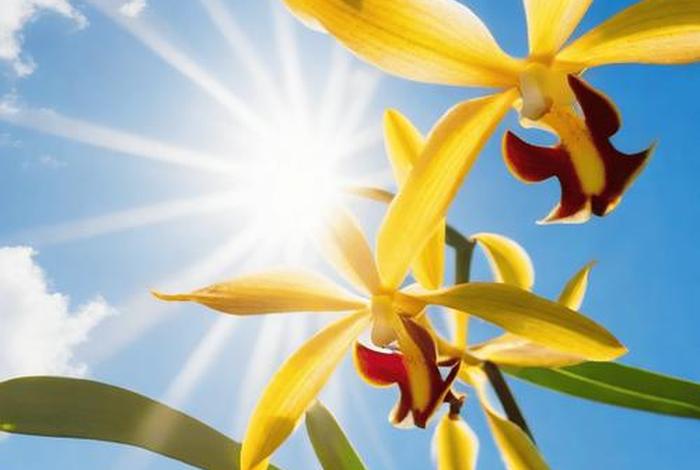 早安生活问候语大全;早安 生活 早安生活问候语大全;早安 生活