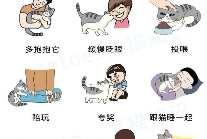 爱猫生活小组创始人;爱猫生活组邪教 爱猫生活小组创始人;爱猫生活组邪教