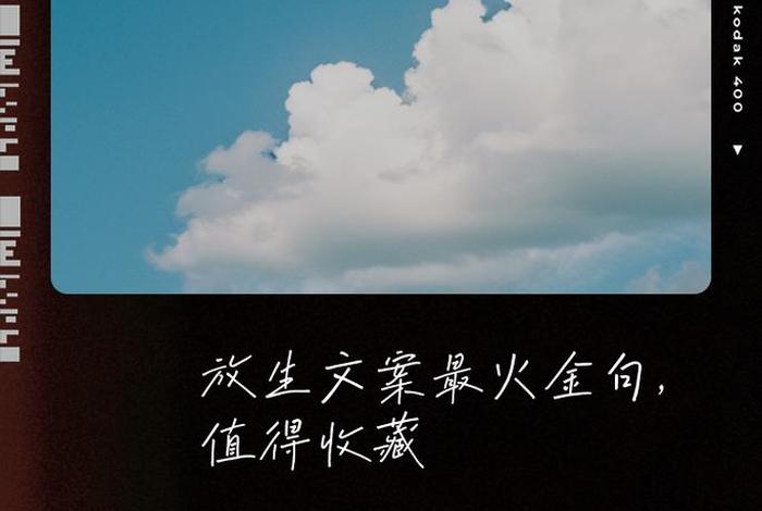 放生活动文案;关于放生活动后的文案 放生活动文案;关于放生活动后的文案