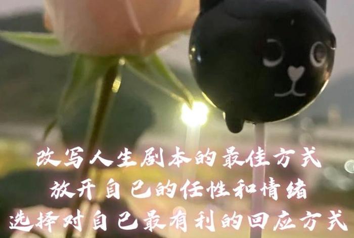 变色的生活任性的挑拨什么歌 - 变色的人生 变色的生活任性的挑拨什么歌 - 变色的人生