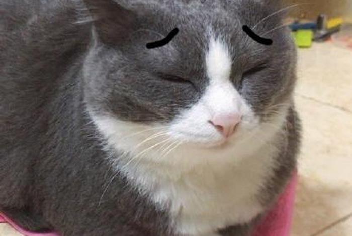 生活表情包 不易(生活不易的表情) 生活表情包 不易(生活不易的表情)