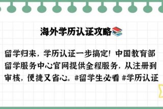中国留学生服务中心官网，中国留学生服务中心官网存档