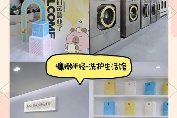 洗护生活馆是干什么（洗护是什么工作）