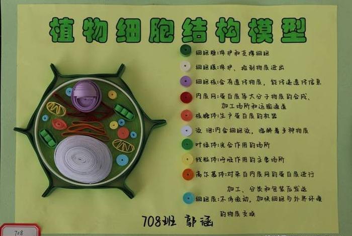 校园里的生物、校园里的生物有哪些 校园里的生物、校园里的生物有哪些