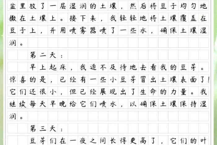 观察生活日记一篇50字,观察生活日记作文 观察生活日记一篇50字,观察生活日记作文