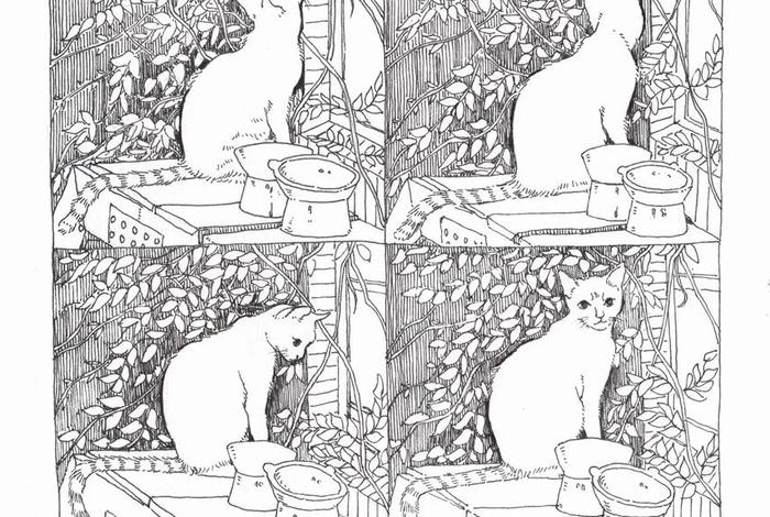 流浪猫的图片大全 流浪猫图画 流浪猫的图片大全 流浪猫图画