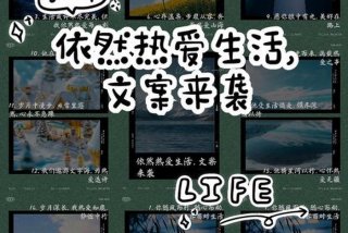 依然热爱生活文案，依然去热爱生活