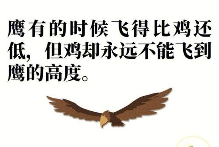 鹰的两种生活(鹰的两种生活方式) 鹰的两种生活(鹰的两种生活方式)