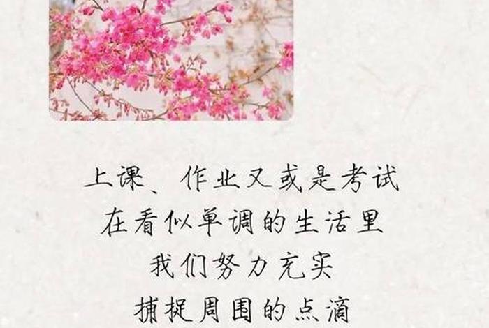 生活过成诗的回复、把生活过成了诗怎么形容