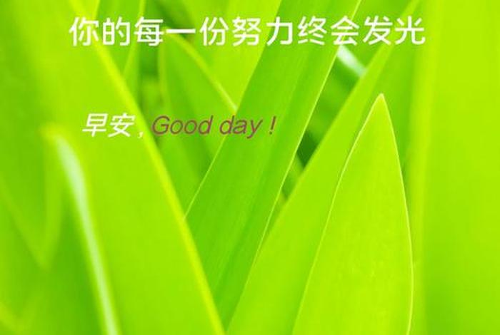 正能量的生活语录(正能量的生活句子) 正能量的生活语录(正能量的生活句子)