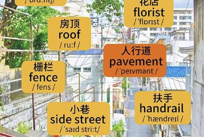 不同的生活方式英文;生活的不同方面英文 不同的生活方式英文;生活的不同方面英文