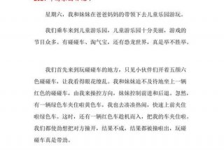 二年级生活日记去游乐园（二年级去游乐园的日记200字）