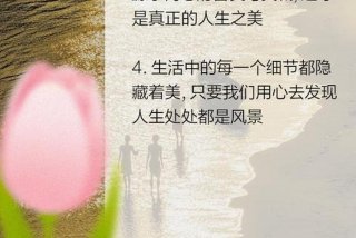 人生是美的 - 人生美的是淡然哲理处世态度