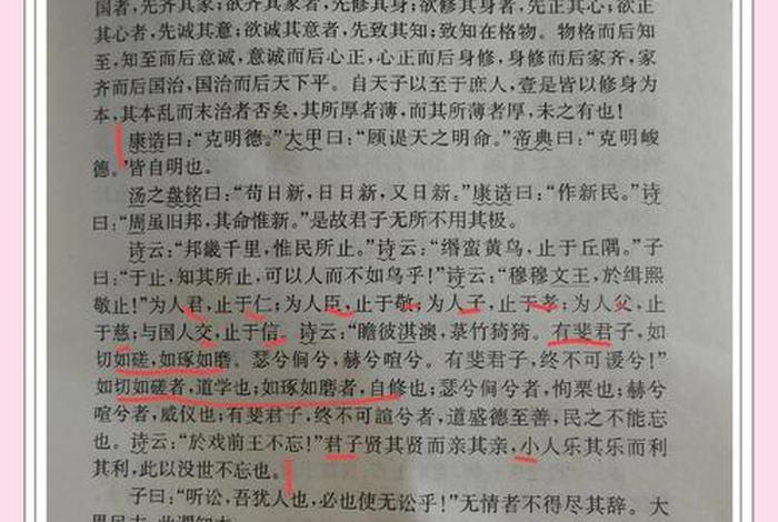 读大学之道的启示和感悟，读大学之道感想