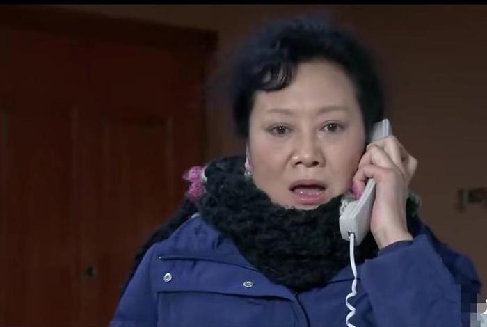 岳母家的生活完整版视频（电视剧岳母家的幸福生活演员表）