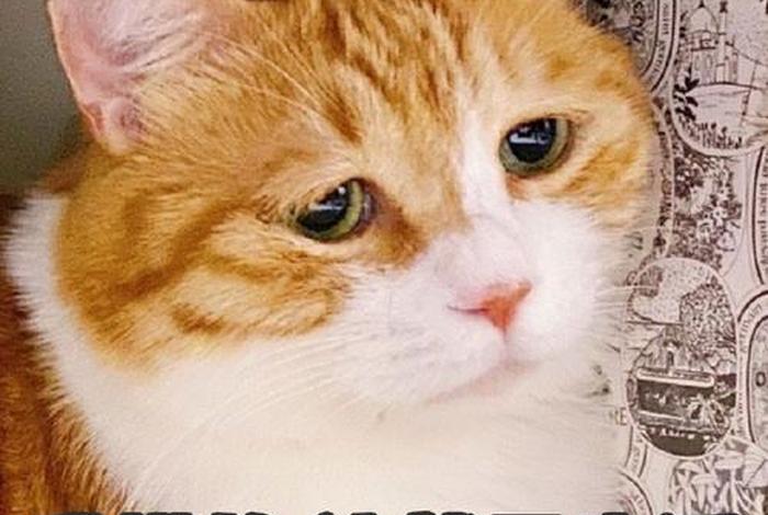 生活啊表情包、生活表情包可爱 生活啊表情包、生活表情包可爱