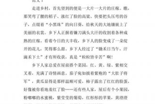 乡下生活作文600 - 乡下生活500字