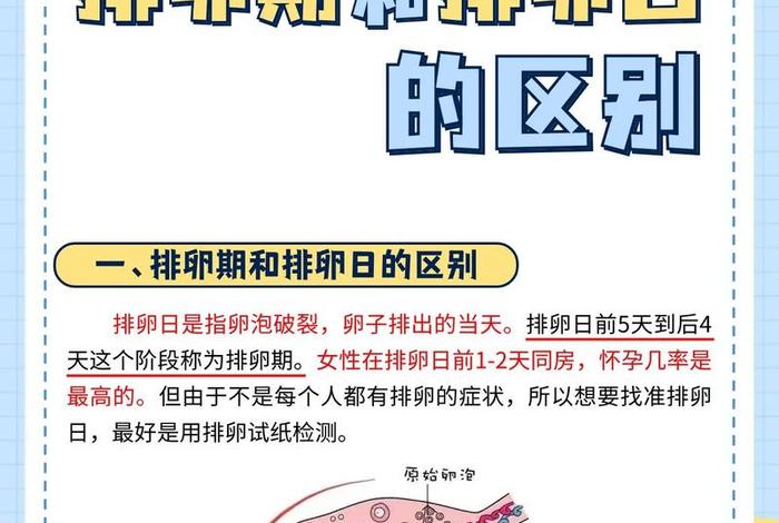 怎么过夫妻生活才不会错过排卵期（怎么过夫妻生活才是正常）