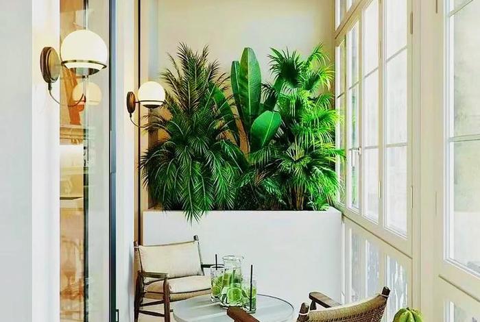 生活阳台效果图 生活阳台布置图 生活阳台效果图 生活阳台布置图