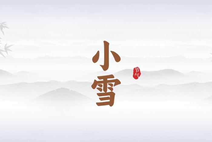 小雪的生活小课堂、播放播放小雪