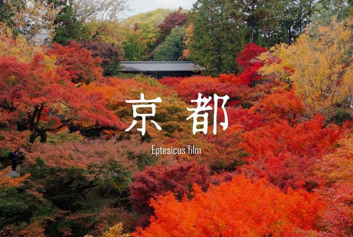 京都生活节奏快吗,在京都生活的日子 京都生活节奏快吗,在京都生活的日子