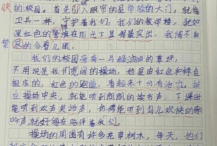 我的校园生活作文400字四年级，我的校园生活作文400字四年级上册