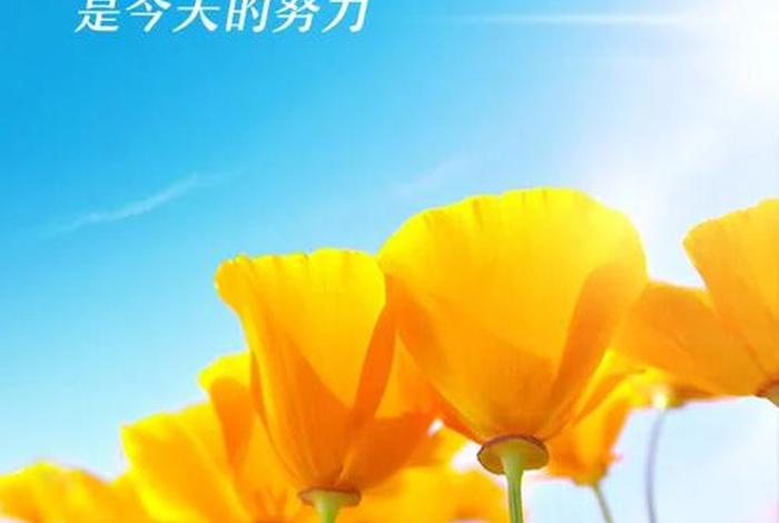 生活正能量图片配图,生活正能量唯美句子 生活正能量图片配图,生活正能量唯美句子